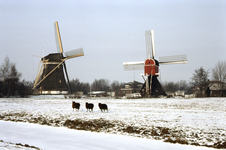 858062 Gezicht op de Westbroekse Molen (Nedereindsevaart 3) en de Buitenwegse Molen (Hollandse wipmolen, ...